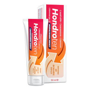Hondroten